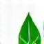 Recycle leaf icon